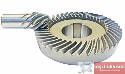 Vogel ayna mahruti dişlisi Vogel ayna mahruti dişlisi