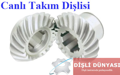 Canlı takım dişlisi